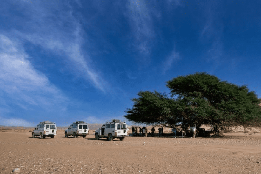 Dune Buggy Safari in Sharm el Sheikh