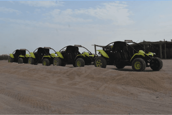 Sunrise Desert Safari Trip by Spider